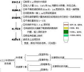 高考生物學(xué)知識要點(diǎn)的自我梳理 二
