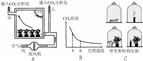 我們可以利用如圖a所示裝置來比較植物光合作用強(qiáng)度和呼吸作用強(qiáng)度.已知其他條件適宜,請分析回答 1