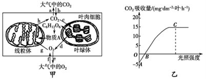 小麥植株進(jìn)行光合作用和呼吸作用的最適溫度分別為25℃和30℃。下圖甲為小麥葉肉細(xì)胞中的部分代謝示意圖;圖乙是在CO2濃度一定、環(huán)境溫度為25℃、不同光照強(qiáng)度條件