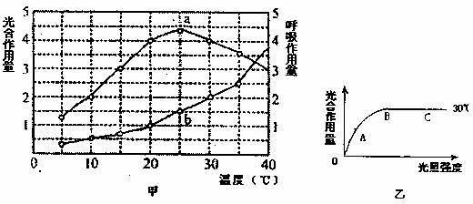 52.下圖甲圖中.a曲線表示在一定光照強(qiáng)度.不同溫度條件下.某植物的光合作用量(單位時間內(nèi)同化的CO2量),b曲線表示同等條件下的呼吸作用量(單位時間內(nèi)釋放的CO2量).乙圖表示的是該植物在30℃條件