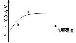 14分 某研究者利用栽在花盆中的植物,對植物的光合作用與呼吸作用進(jìn)行了相關(guān)的研究,圖甲表示此盆綠色植物在兩種不同溫度下釋放氧氣的快慢與光照強(qiáng)度的關(guān)系,圖乙是測定圖甲縱坐標(biāo)上
