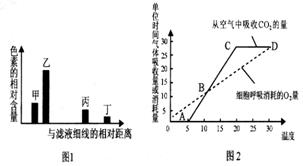下列圖1表示利用大豆幼苗的綠葉進行色素提取和分離實驗的結(jié)果,圖2表示溫室中該幼苗的光合速率 呼吸速率隨溫度變化的曲線 據(jù)圖分析錯誤的是 a.甲 乙主要吸收藍紫光和紅光