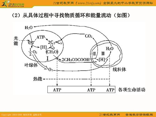 高三2011年一輪復習系列課件之光合作用和細胞呼吸的知識梳理與題型探究下載 生物 21世紀教育網