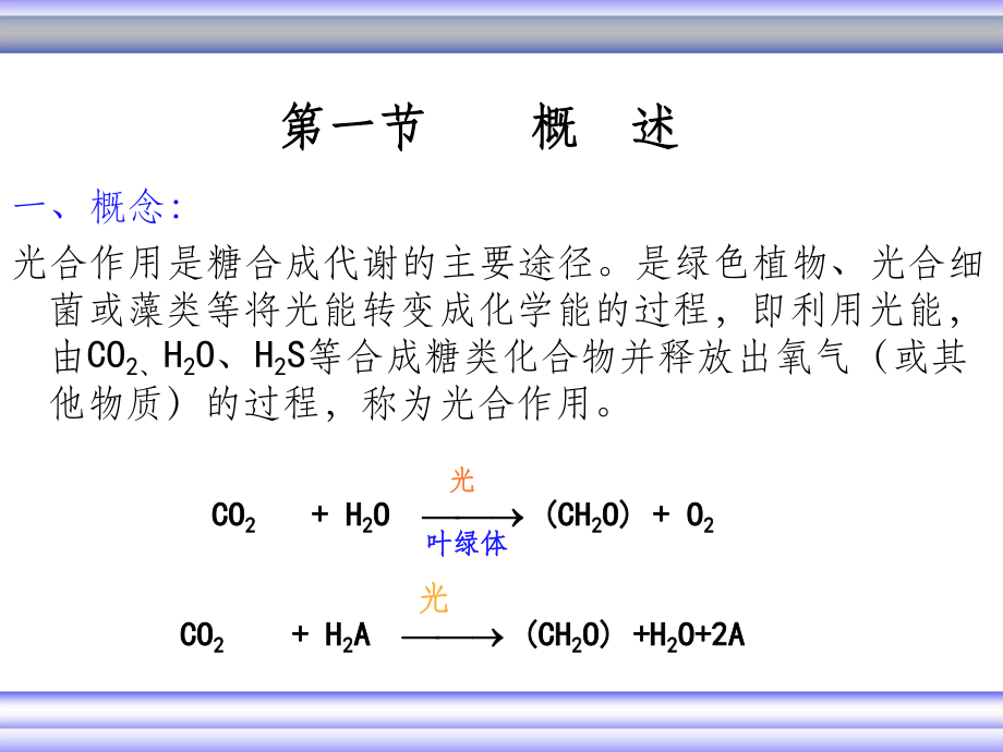 生物化學視角下的光合作用