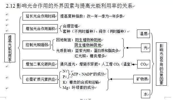 詳解光合作用，輕松掌握高中生物知識點